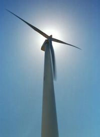 Le concept de développement durable doit devenir une des principales préoccupations  de grandes entreprises