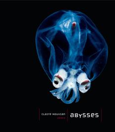 Un livre, porte vers l’inconnu.