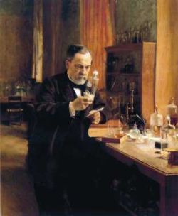 Portrait de Louis Pasteur dans son laboratoire de la rue d’Ulm à Paris.