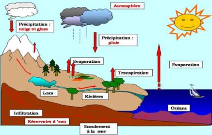 Rôle du climat sur la glace : le réchauffement climatique entraîne une intensification du cycle de l’eau, avec à la fois plus neige et plus de fonte.