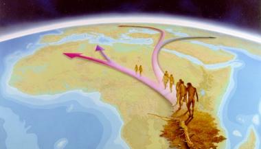 Migration de l’Homo sapiens