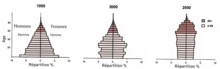 Evolution de la pyramides des âge de la population en Chine. Source "World Population Ageing".