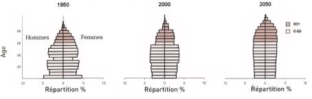 Evolution de la pyramides des âge de la population en France. Source "World Population Ageing".