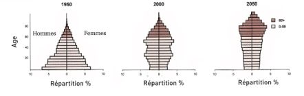Evolution de la pyramides des âge de la population  au Japon. Source "World Population Ageing".