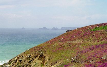 La rase végétation de la Pointe du raz en Bretagne résulte d’une adaptation à la zone ventée. Ces mêmes plantes à l’abri du vent auraient une tige plus haute.