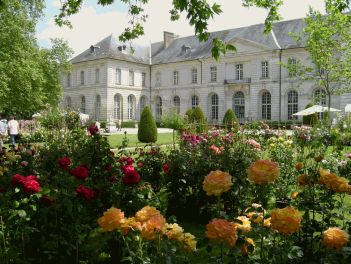 Roseraie de l’abbaye de Chaalis dans l’Oise