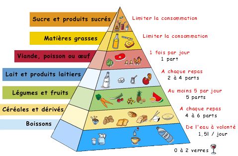 Pyramide alimentaire