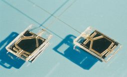 puces à ADN, "lab-on-chip" ou "cell-on-chip"