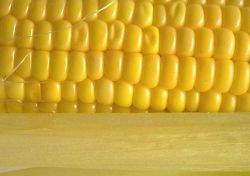 Un apport élevé de lutéine (essentiellement dans les légumes jaunes) permet de réduire de 70% les risques d’apparition de dégénérescence maculaire liée à l’âge