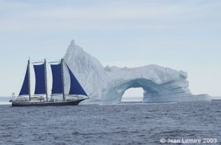 La disparition de la glace en milieu arctique s’accélère et menace les écosystèmes qui en dépendent