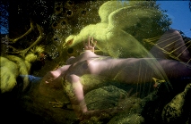 Lucien Clergue, Nu Ornithologique