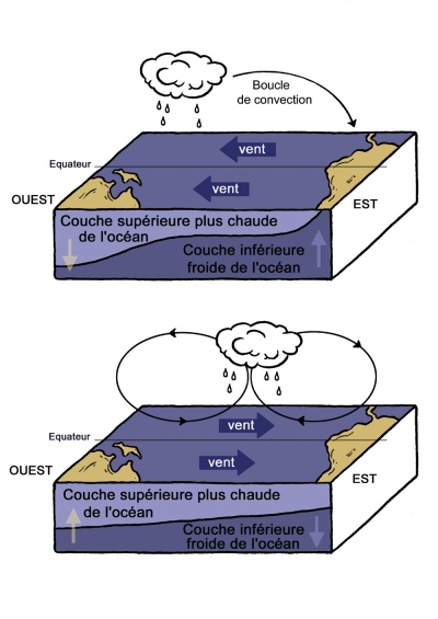 Le phénomène El Niño. Il arrive que les alizés faiblissent et s’inversent. L’eau chaude, plus haute, glisse alors vers l’eau basse et froide à l’est. Et tout le régime climatique bien huilé qui régnait sur le Pacifique se dérègle.