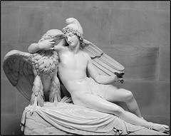 Ganymède et l’Aigle d’ Adamo Tadolini
