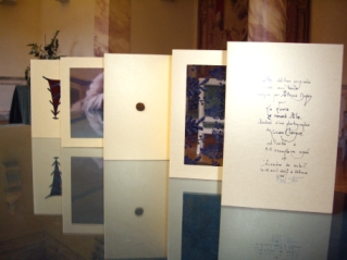 Le livre   Petit théâtre nombriliste  de Fernando Arrabal et Lucien Clergue