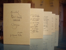 Le livre   Petit théâtre nombriliste  de Fernando Arrabal et Lucien Clergue