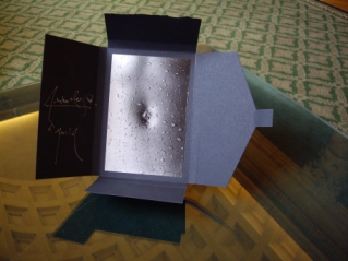 Le livre   Petit théâtre nombriliste  de Fernando Arrabal, photographie Lucien Clergue