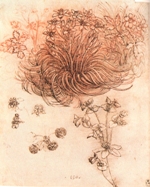 L’étoile de Bethléem