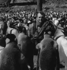 Michel Gauthier-Clerc sur l’île de la Possession dans l’Archipel des Iles Crozet (nov. 1996)