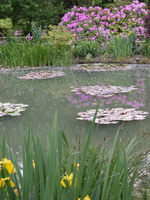 Vue du jardin japonais