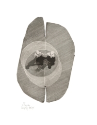 Le tourbillon, gravure de Louis-René Berge de l’Académie des beaux-arts