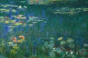 Les nymphéas