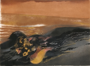 Arnaud d’Hauterives, Katrina America