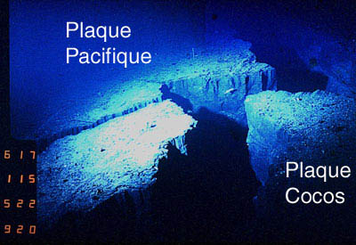 Axe de la dorsale Pacifique Est à 13°N - Cyatherm (Cy82-09) - 2606 m. Une fissure dans le plancher océanique.
