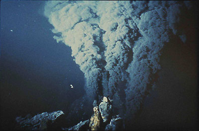 EPR 13°N Cy82-31, 2620 m. Les fumeurs noirs dans l’axe de la dorsale Pacifique Est à 13°N par 2600 m de profondeur témoignent l’activité volcanique et magmatique actuelle. Ils déchargent dans l’eau de mer une très grande quantité de sels et sulfures polymétalliques à une température atteignant 380°C, et sont à l’origine de véritables oasis où la vie abonde.