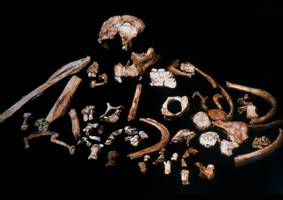 Fouilles réalisées à Gran Dolina en Espagne