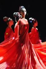 Les Fées de Richard Wagner, Théâtre du Châtelet 2009, costume de Jesus Ruiz