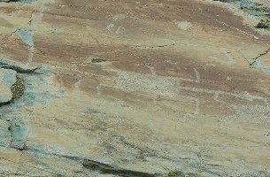 Détail d’une gravure rupestre de la Vallée des merveilles