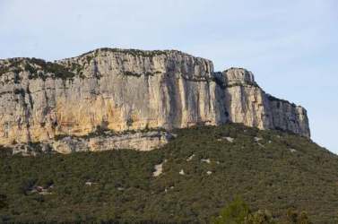 L’entrée Est de la grotte de l’Hortus se situe au pied de la falaise au début des corniches, à l’arrivée du chemin menant de la piste forestière aux voies d’escalades