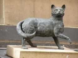 Le chat Trim, Sydney