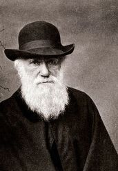 selon Charles Darwin, les espèces qui survivent  sont celles qui savent s’adapter le mieux aux changements.