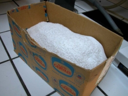 La météorite de Paris arrive au Muséum, toujours dans l’« écrin » dans lequel elle a été trouvée…