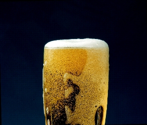 Formation de mousse  dans une bière pilsner tchèque