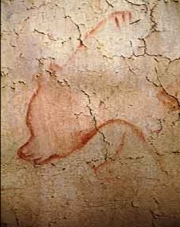 "Cette grotte sentait l’ours, au sens propre comme au figuré" explique Jean Clottes. Il est omniprésent dans l’art rupestre et dans la vie de ses hommes