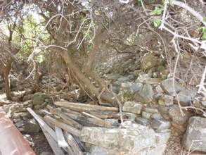 Etat avant le dégagement des pierriers et de la végétation