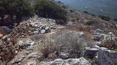 En descendant de l’acropole Ouest.