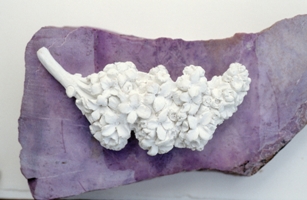 Travail de préparation servant à créer une boite en fleur de lilas. Avant d’entamer la sculpture, véritable défi et expression de son savoir-faire, le graveur sculpteur réalise un premier modelage et un plâtre qui permettront d’appréhender le volume et la forme de la pièce mais aussi d’en conserver une trace.