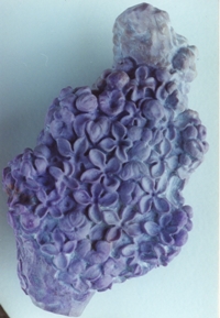 Phase intermédiaire du travail