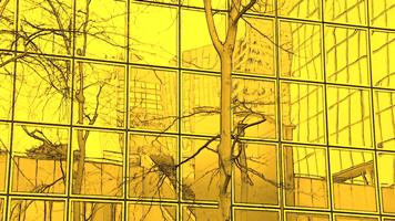 "Du rêve à la réalité"