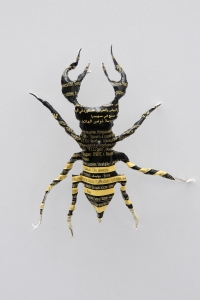 Exemple d’une "espèce en voie d’apparition" de François Riou