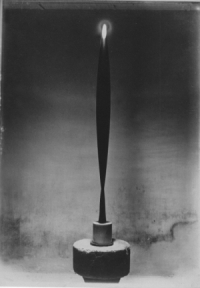 L’oiseau dans l’espace