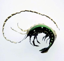 Insecte réalisé avec une capsule de bouteille Perrier.