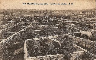 La culture des pêche en espaliers, au clos des pêchés à Montreuil (début XX<sup>e<\/sup> siècle)