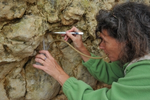 Christine Rollard collectant une araignée avec un aspirateur à bouche