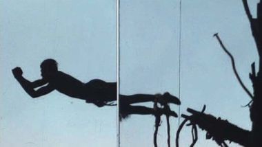 Camille Henrot, Coupé\/décalé, 2009, Galerie Kamel Mennour