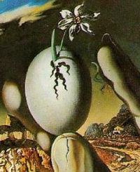 Détails de l’oeuf d’où éclot la fleur