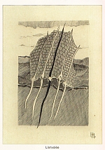 Louis-René Berge, " L’envolée", gravure au burin